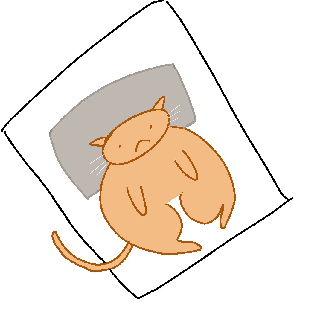 瘫瘫猫躺在床上手绘原稿